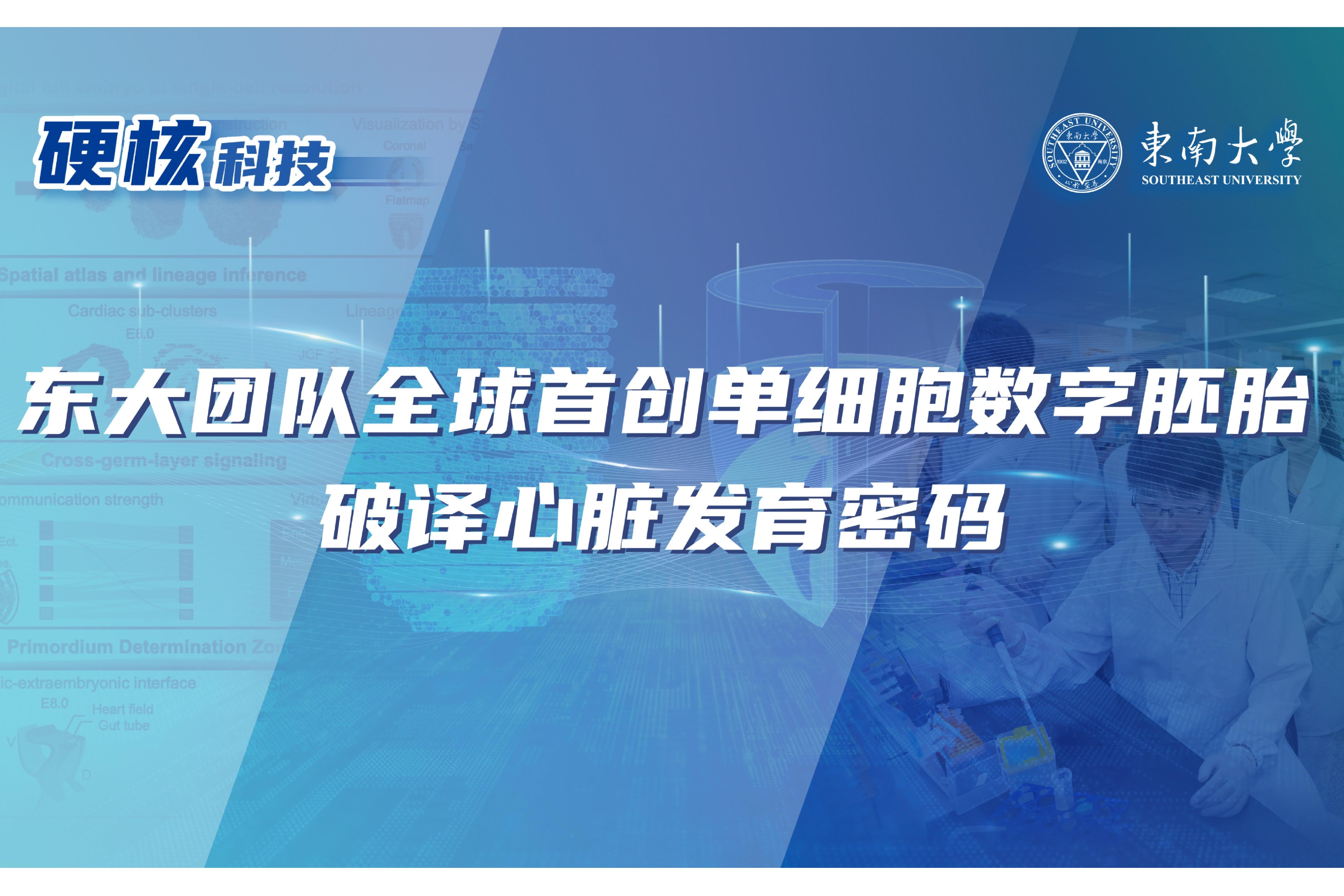 【光明日?qǐng)?bào)】東南大學(xué)團(tuán)隊(duì)破譯心臟發(fā)育密碼 為先心病等出生缺陷防治與再生醫(yī)學(xué)研究提供關(guān)鍵理論基礎(chǔ)